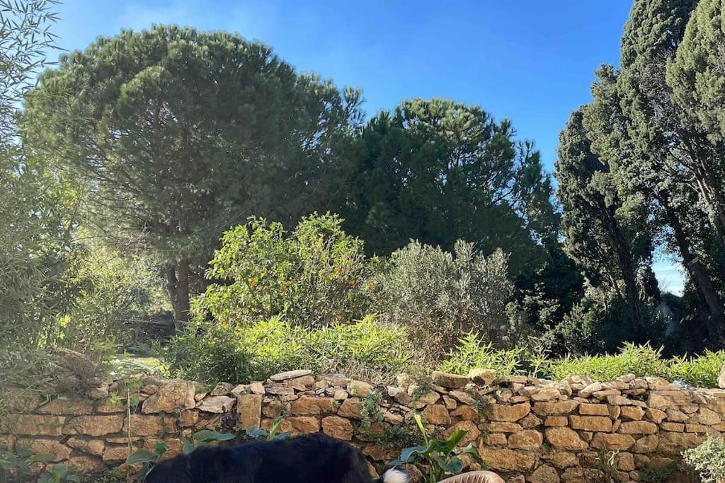 Gite Mas Provencal Tarascon Eksteriør bilde